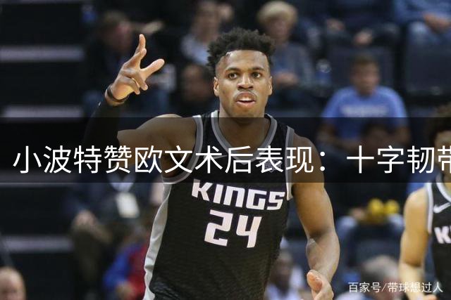 小波特赞欧文术后表现：十字韧带伤后移动能力令人惊叹