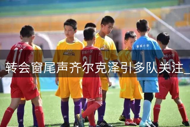 转会窗尾声齐尔克泽引多队关注 曼联态度成关键