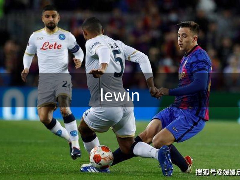 lewin品牌故事